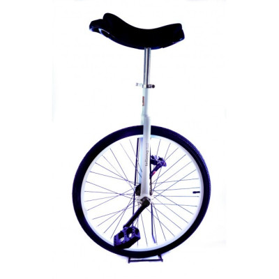 Monociclo Aro 24 Teliang