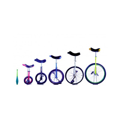 Monociclo Aro 24 Teliang