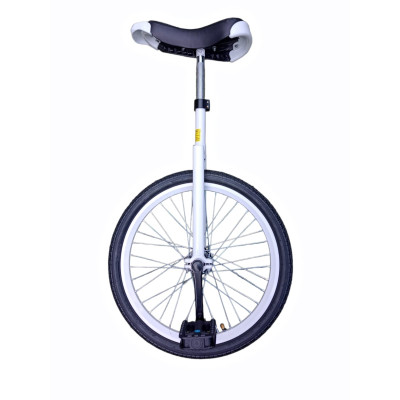 Monociclo Aro 20 Calle