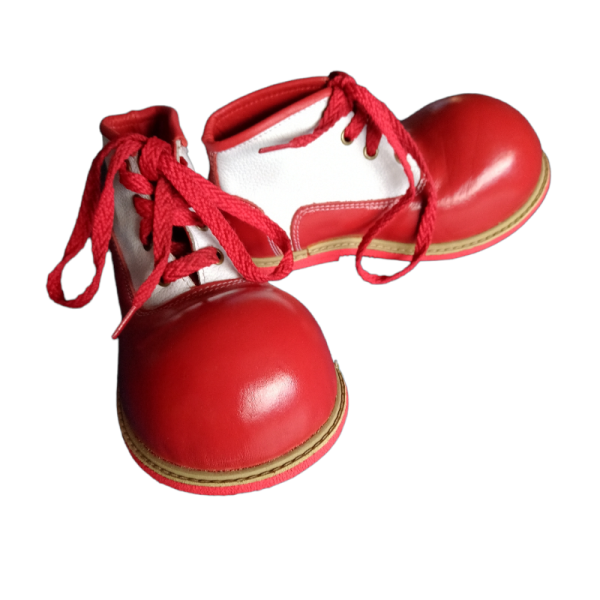 Zapato Payaso para Niño
