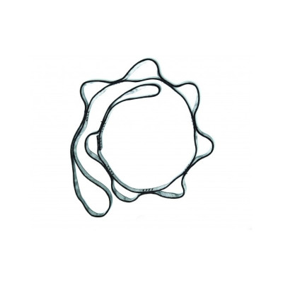 Cinta Daisy (Daisy Chain)